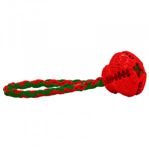 CTD001
